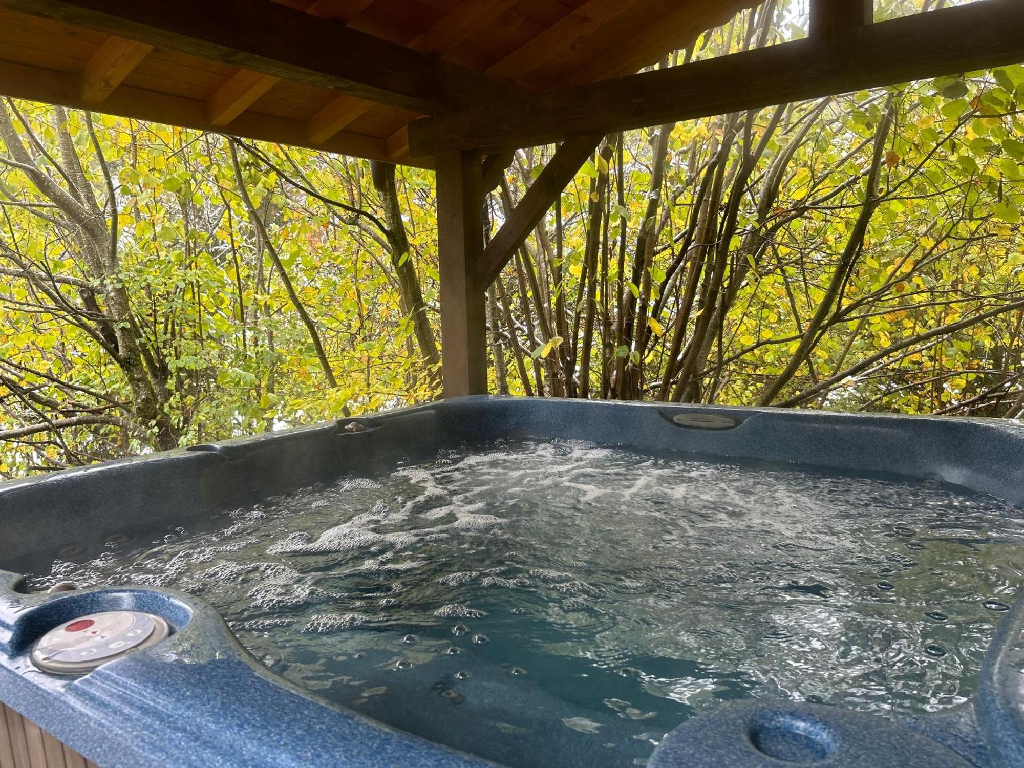 Chalet Adonis - Montriond, Morzine, Avoriaz Exterior foto